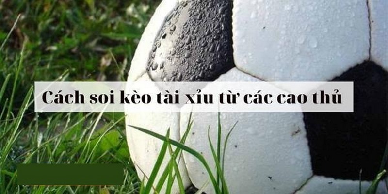 Bật mí bí kíp chinh phục kèo cược tài xỉu từ các cao thủ