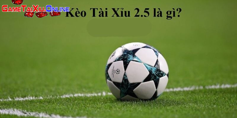 Giải nghĩa Tài Xỉu 2.5 là gì?